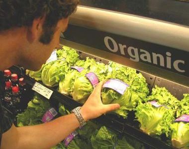 How To Introduce Your Family To Organic Foods?